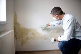 Best Forensic Mold Investigation  in Runnemede, NJ